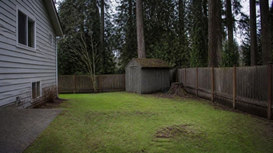 A back yard with room to spare